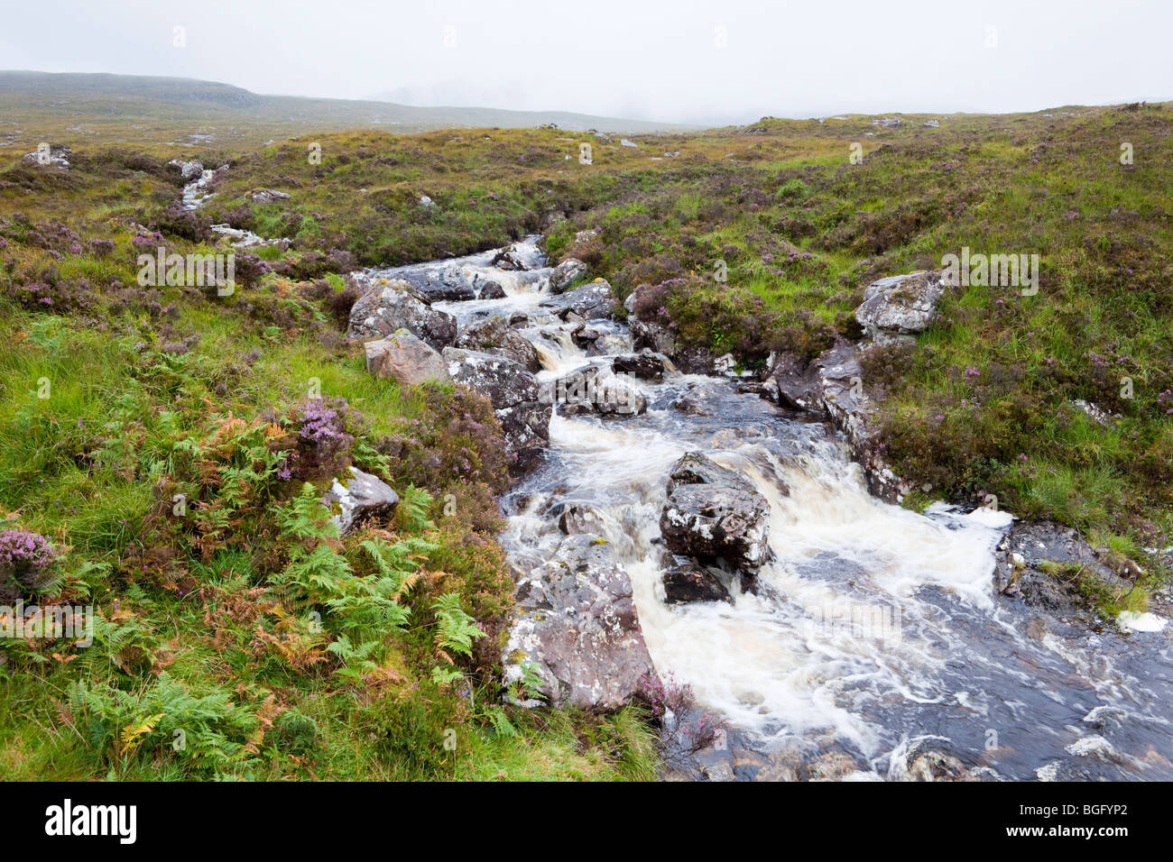Un ruisseau coule au large de l'est de la lande brumeuse Florennes, Highland, Scotland Banque D'Images