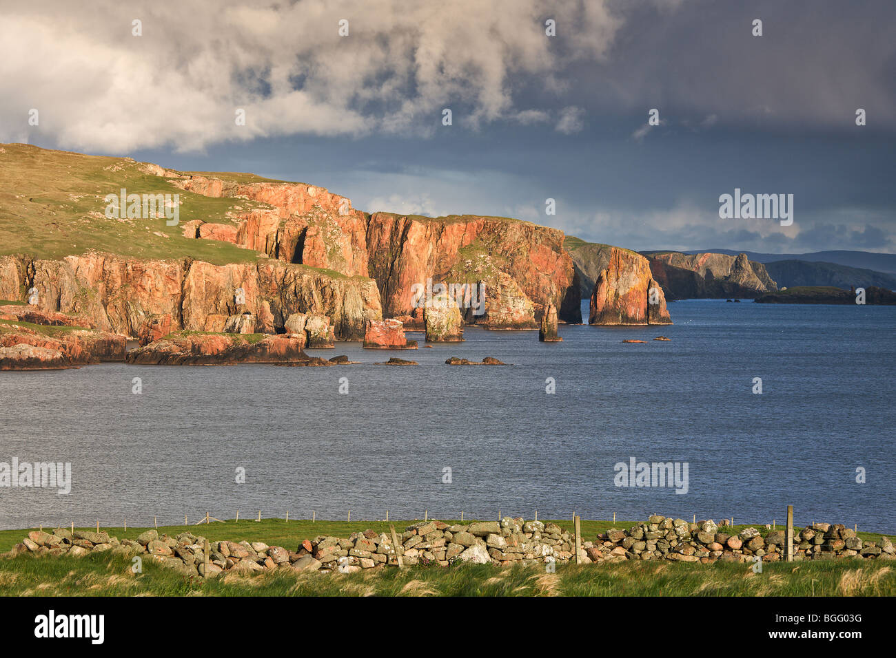 Les falaises de Braewick, Shetland, Scotland, UK Banque D'Images