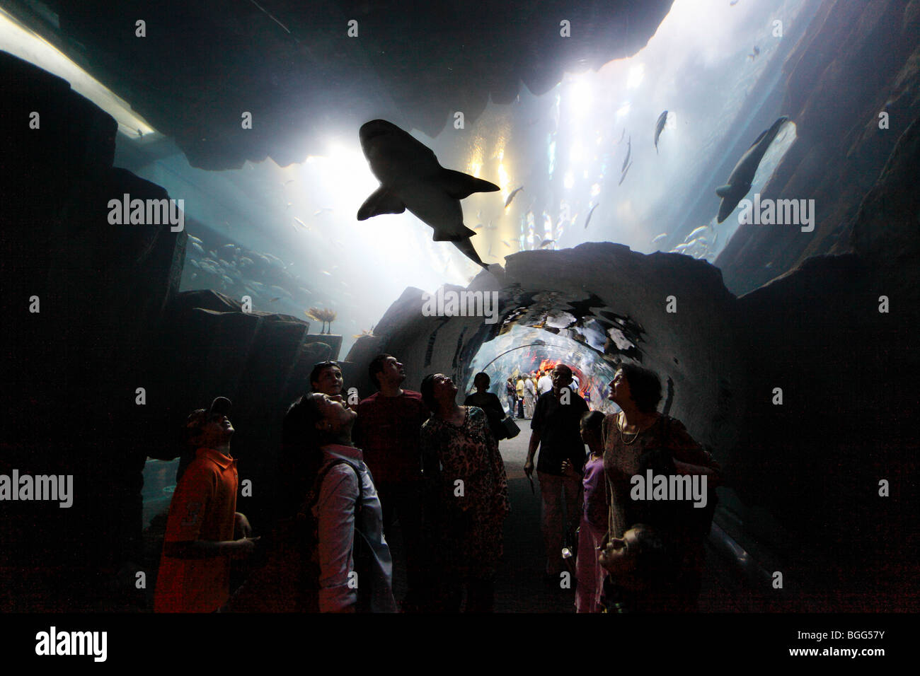 Les visiteurs de l'Aquarium de Dubaï au centre commercial de Dubaï, Émirats Arabes Unis Banque D'Images