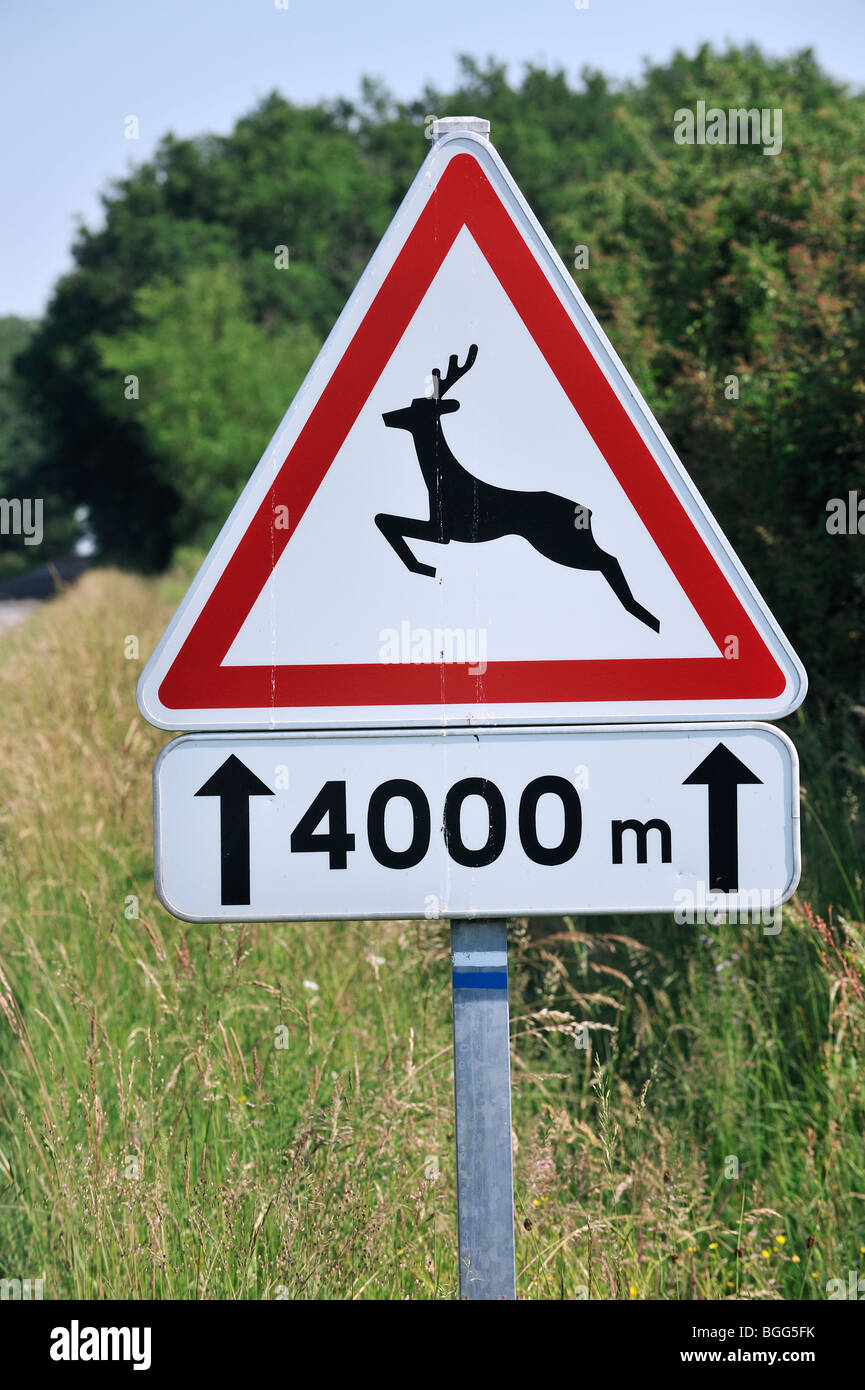 Panneau d'avertissement / panneau de circulation pour les cerfs traversent la route in rural landscape Banque D'Images