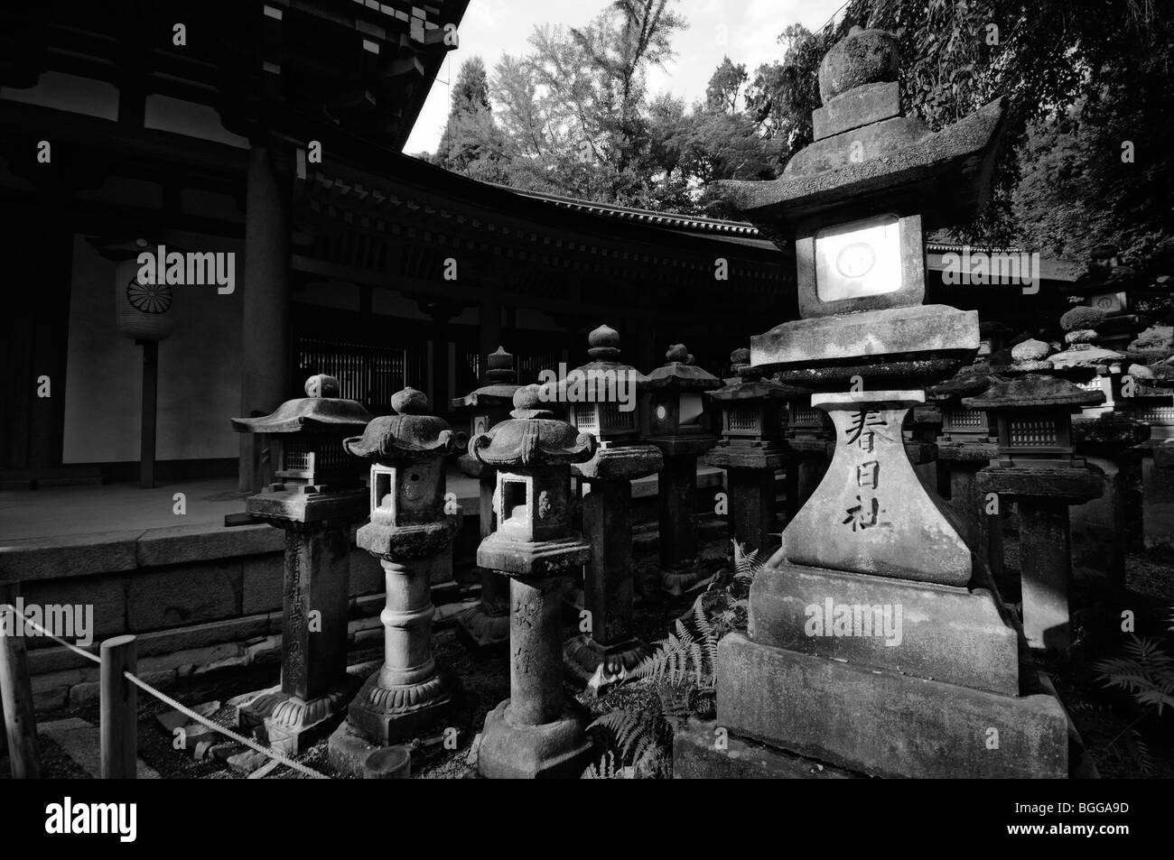 Lanternes de pierre japonais devant Minamimon gate. Kasuga-taisha (aka Kasuga Shrine). La ville de Nara. La Préfecture de Nara. Le Japon Banque D'Images