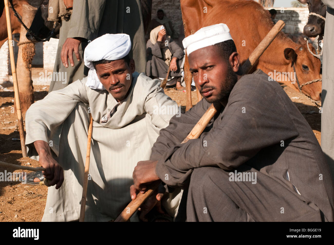 Deux hommes égyptiens dans un marché au bétail dans la vallée du Nil Banque D'Images