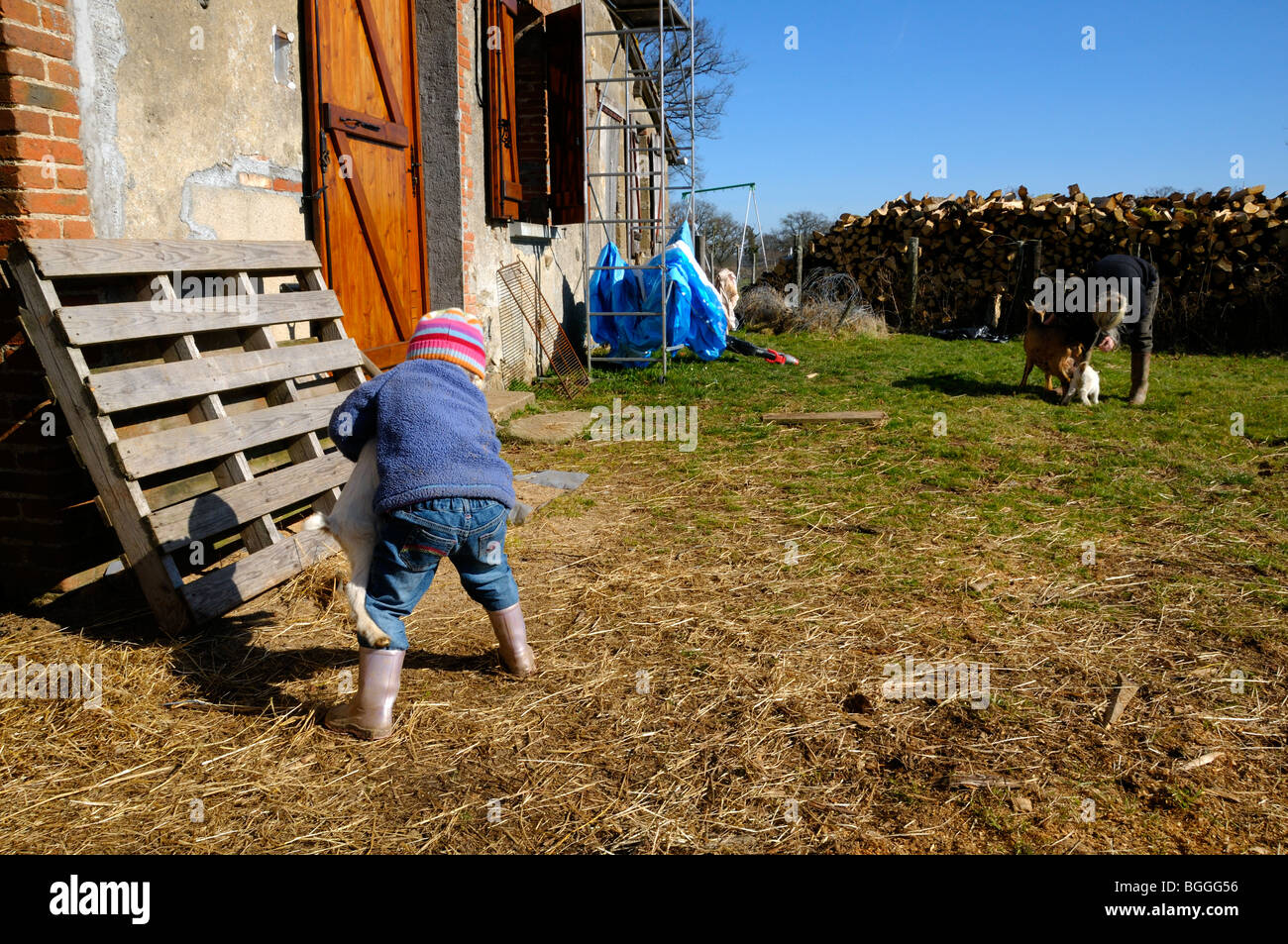 Stock photo d'une fillette de 3 ans aider sa mère avec les chèvres, dans les lopins de familles. Banque D'Images