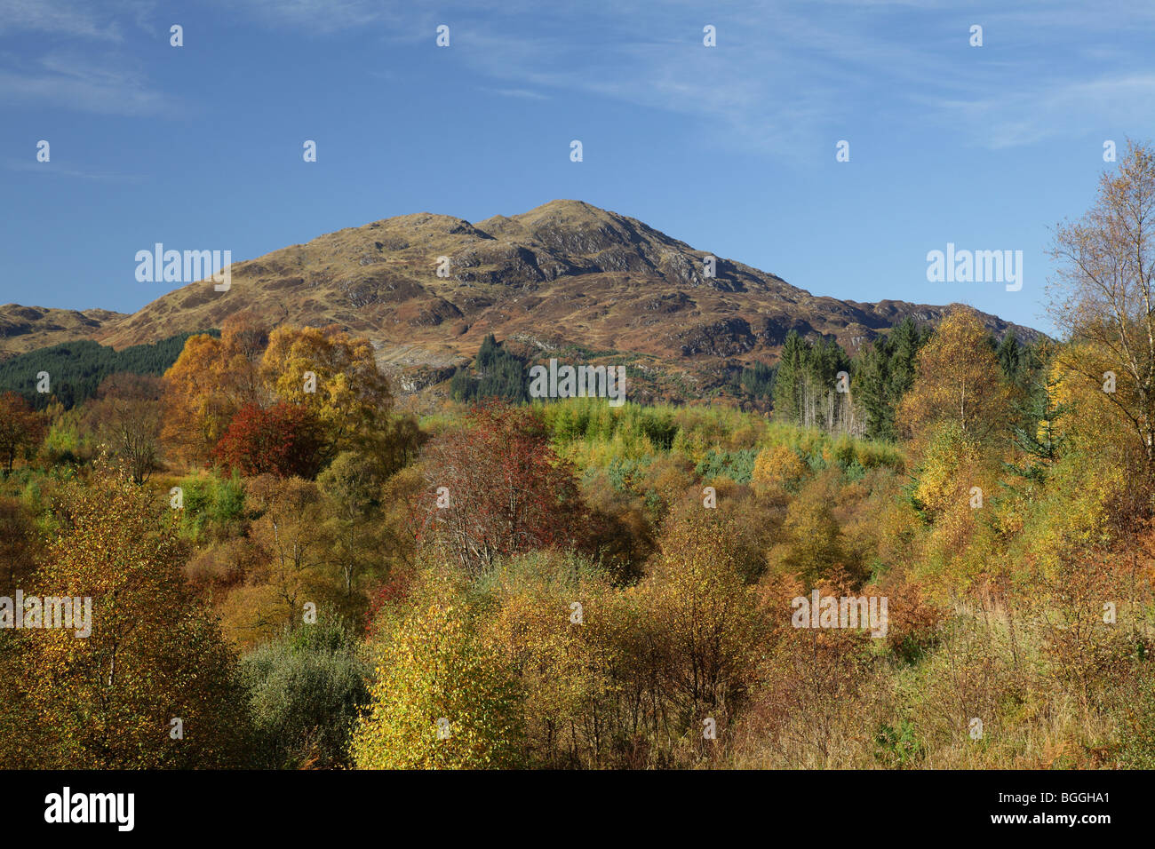 Ben venue en automne, un Graham dans le Loch Lomond et le parc national de Trossachs, Stirling, Écosse, Royaume-Uni Banque D'Images