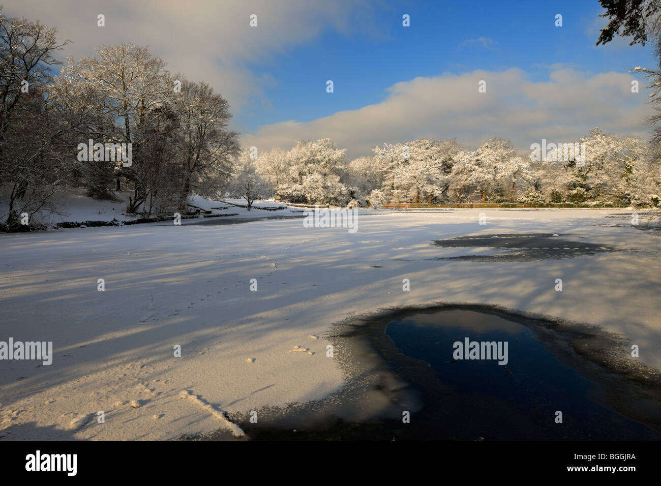 Keston étang, scène d'hiver. Banque D'Images