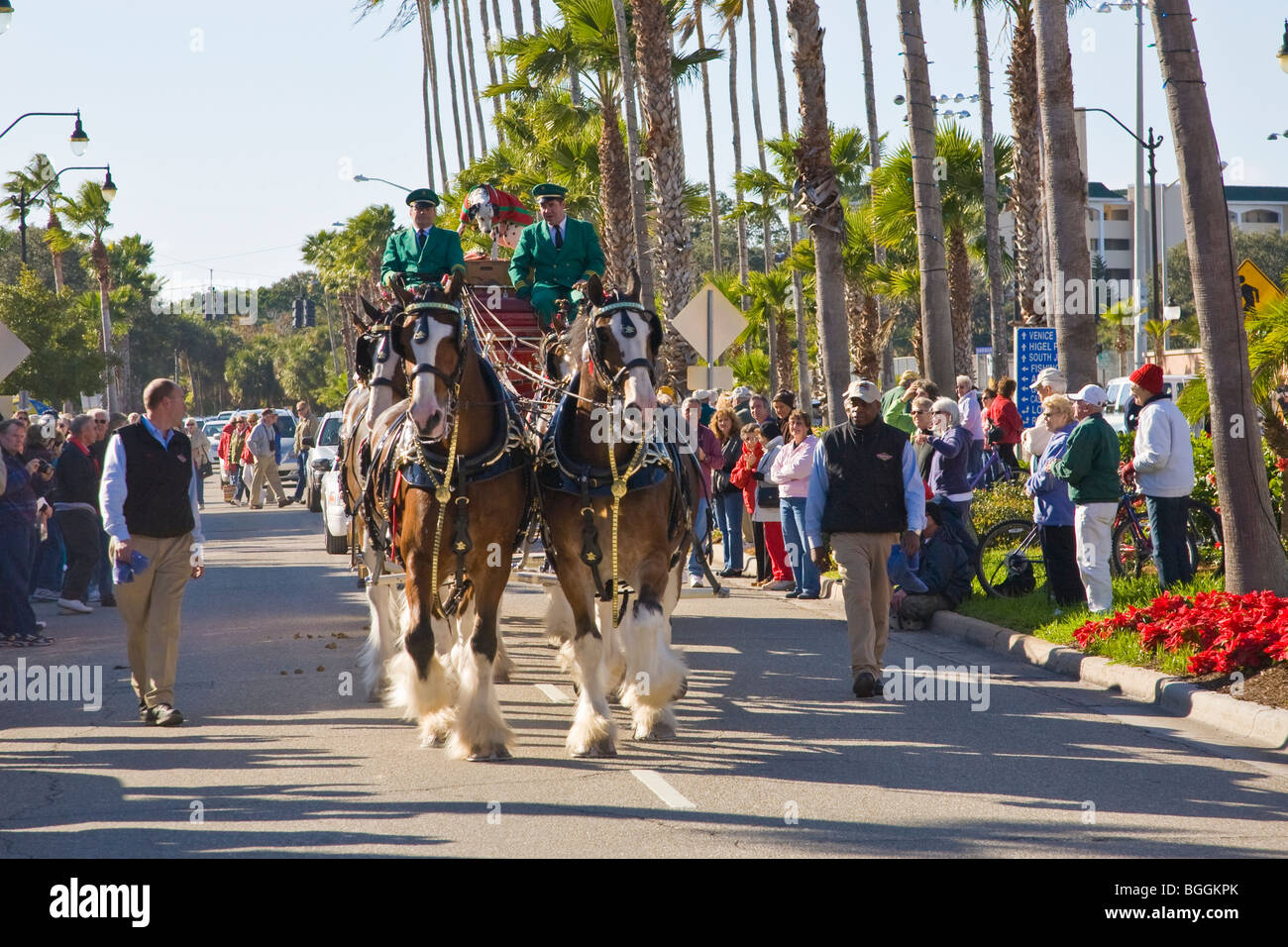 La bière Budweiser Clydesdale chevaux et un chariot sur le Avenue Venise Venise en Floride Banque D'Images