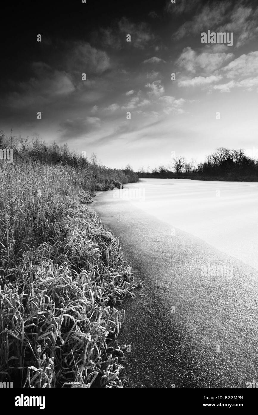 Une photographie en noir et blanc d'un étang gelé par un froid matin d'hiver Banque D'Images