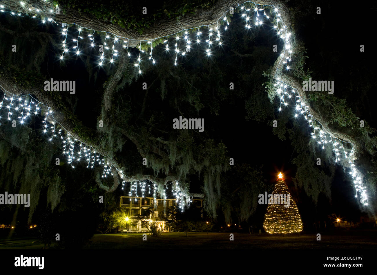 Lumières de Noël dans le quartier historique - Jekyll Island, Géorgie Banque D'Images
