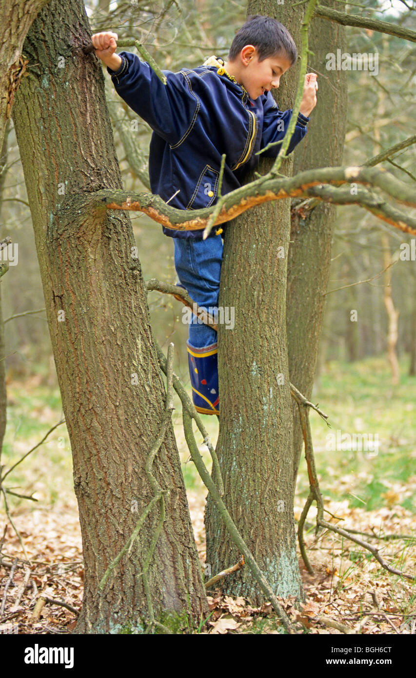 Jeune garçon escalade un arbre Banque D'Images