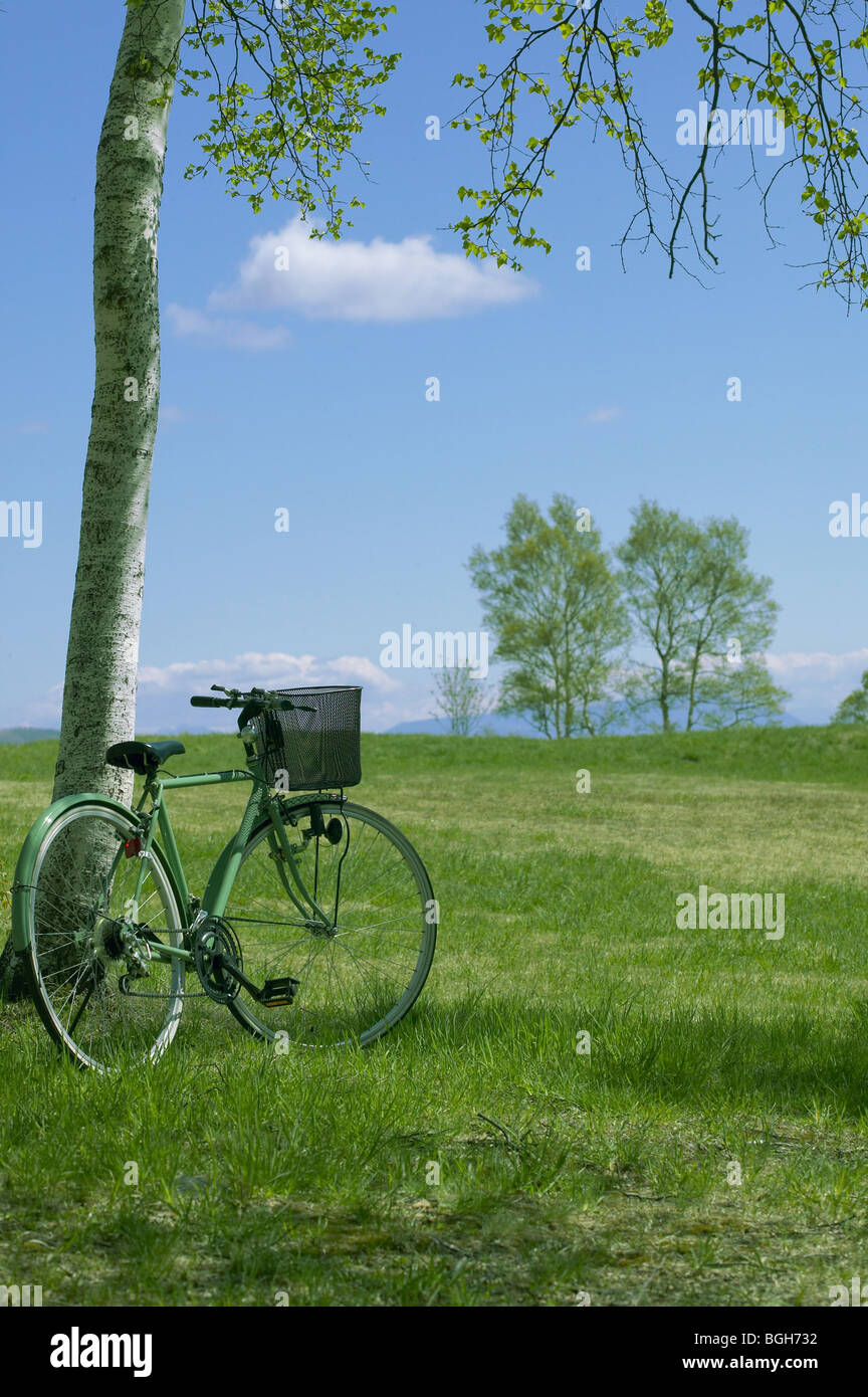 Location dans un parc Sugadaira Préfecture de Nagano Japon Plateau Banque D'Images