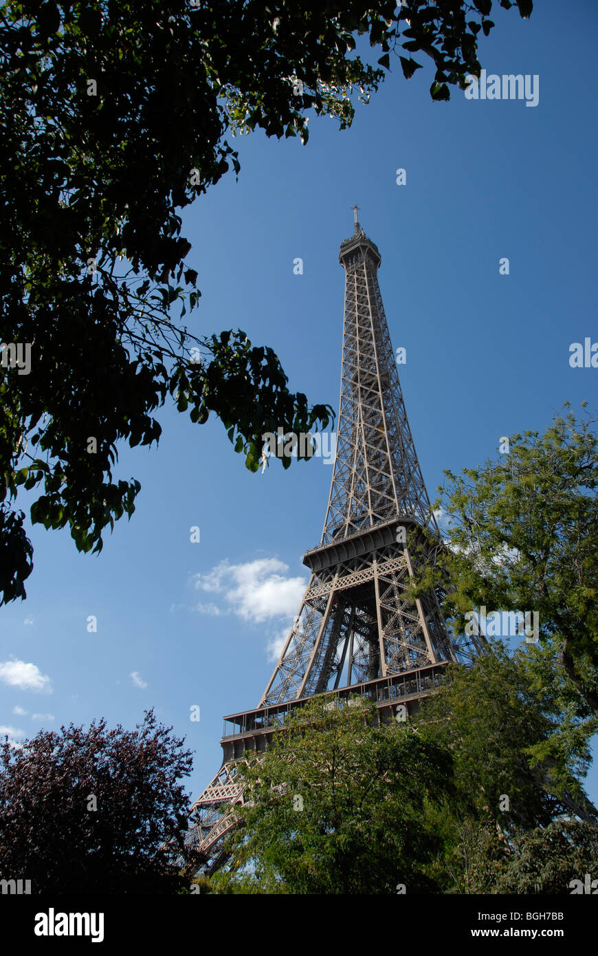 La Tour Eiffel, Paris, France vue à travers les arbres Banque D'Images
