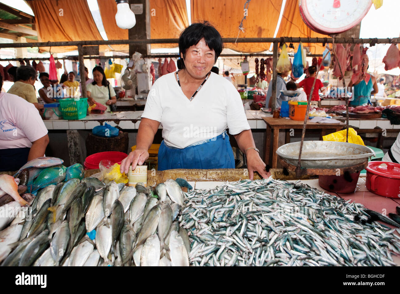 Femme vendant du poisson au marché de Coron Coron ; ville ; l'île de Busuanga, Philippines Banque D'Images