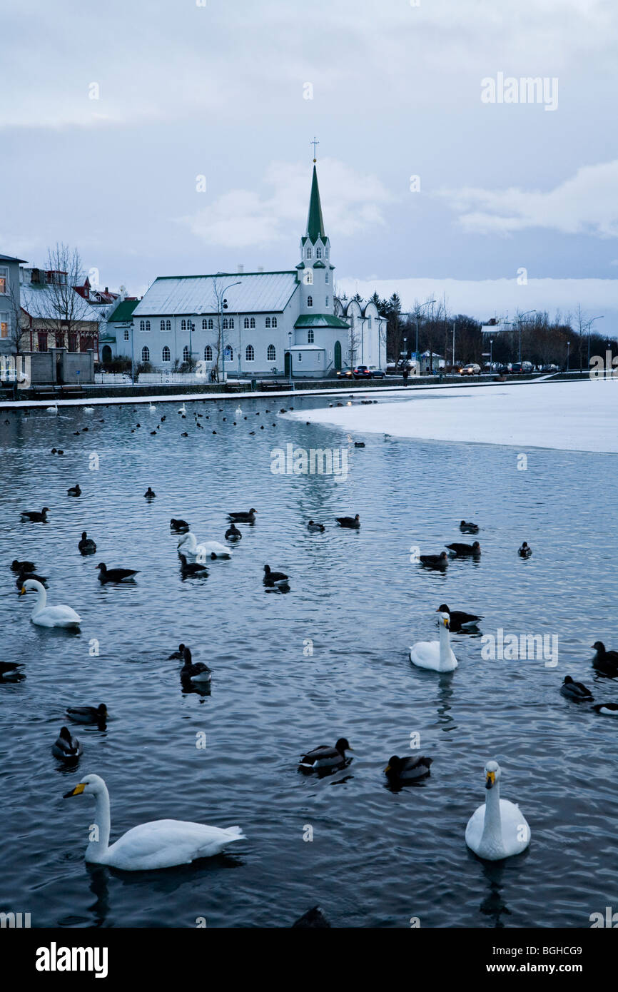 'Tjornin lake' et 'Frikirkjan' church. Le centre-ville de Reykjavik, Islande. Banque D'Images