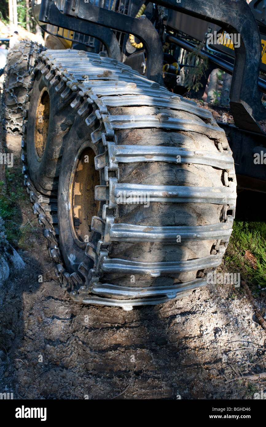 Abatteuse forestière pneumatique monté avec des chaînes de traction Banque D'Images