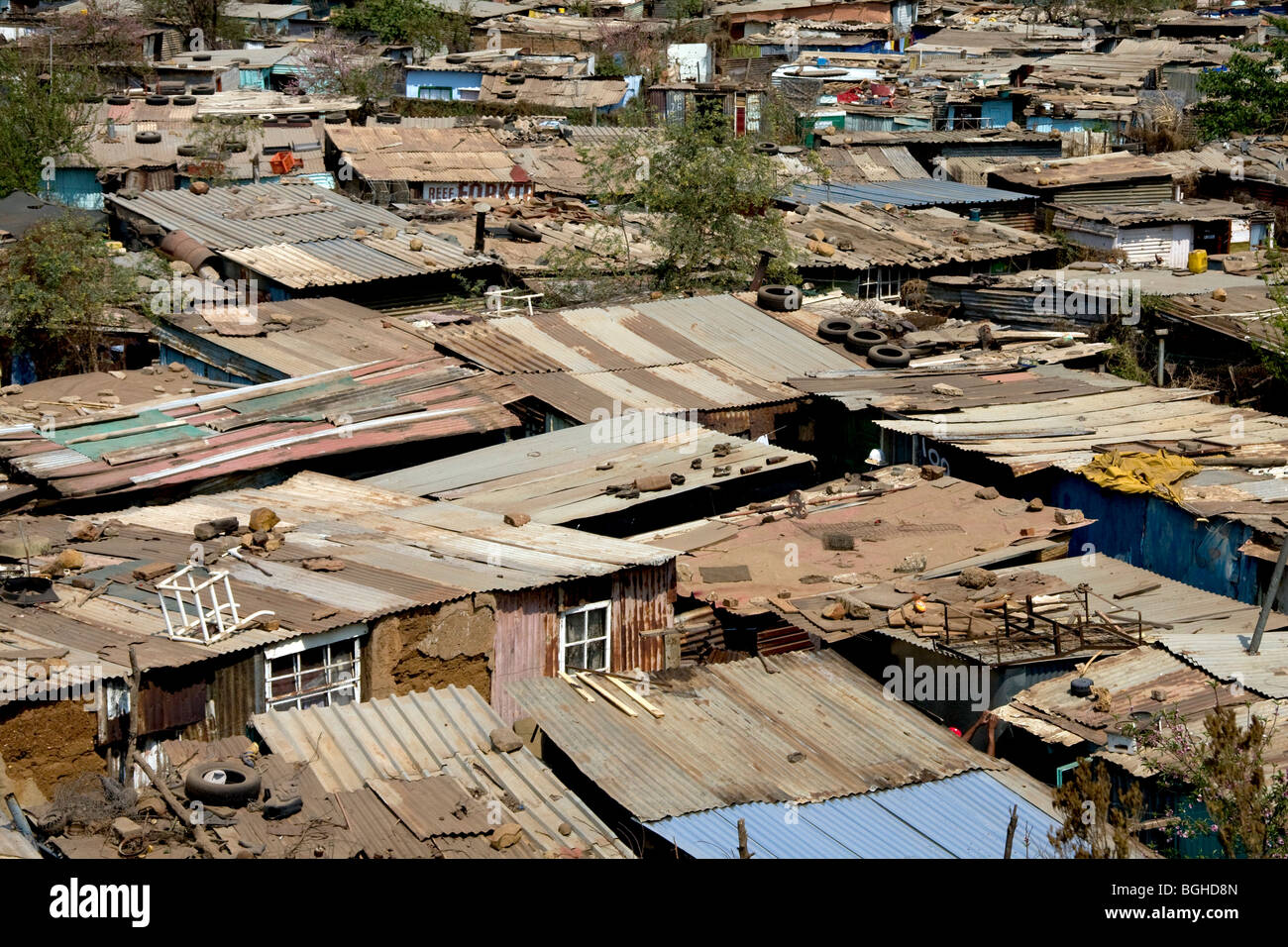 Bidonville de Soweto, Johannesburg, Afrique du Sud, l'Afrique Banque D'Images