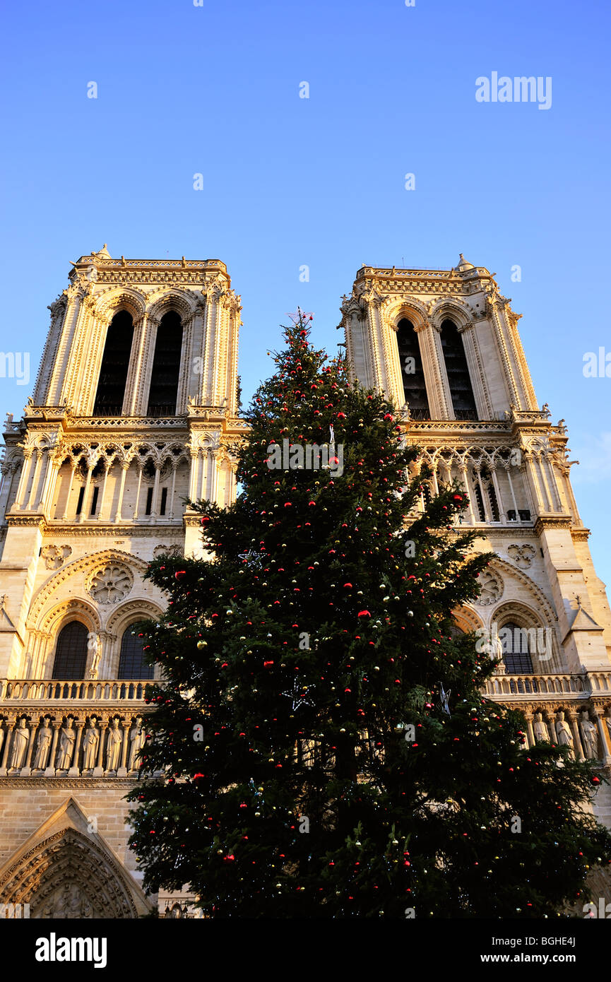 Paris, France, angle bas, vue de face, façade cathédrale notre Dame, avec décoration d'arbre de Noël, décorations de noël sur l'église de façade Banque D'Images