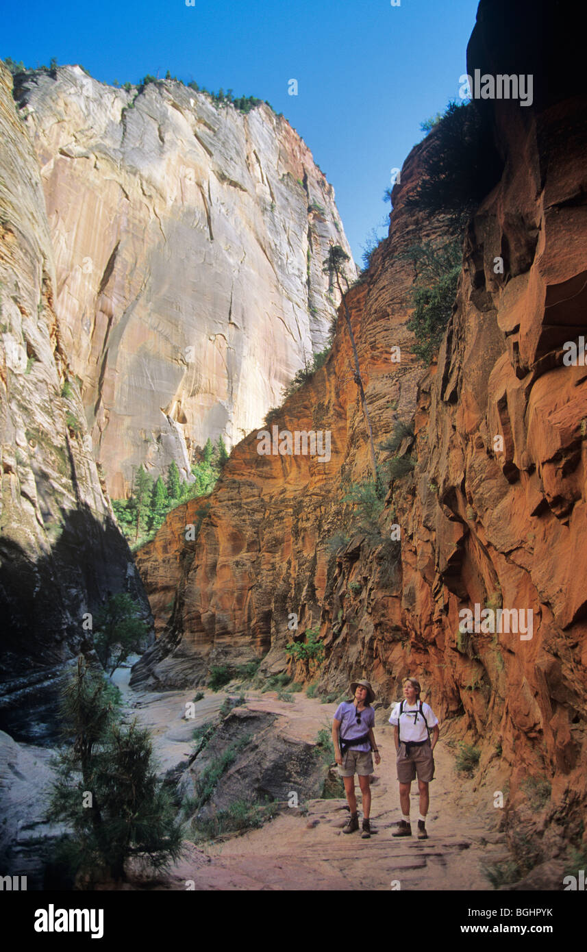 Les randonneurs en Echo Canyon le long du sentier East Rim, Zion National Park, Utah, USA Banque D'Images