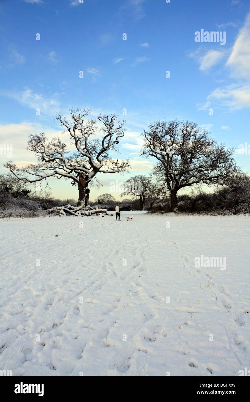 Neige de l'hiver au cour Tolworth Farm, à Kingston, Surrey, Angleterre, Royaume-Uni. Janvier 2010 Banque D'Images