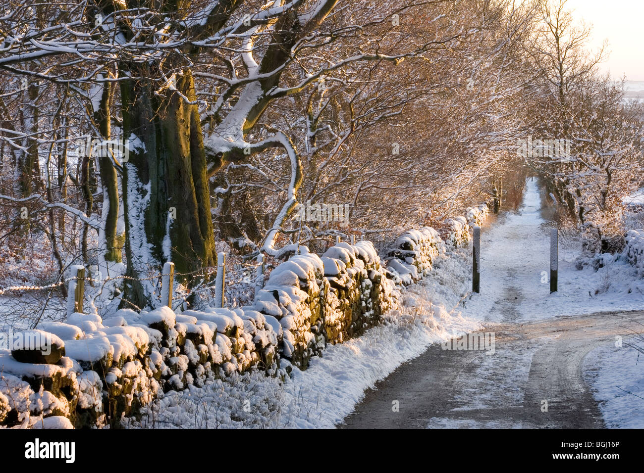 A snowy lane qui mène de Guiseley pour les maures de l'Chevin, près de Leeds West Yorkshire Banque D'Images