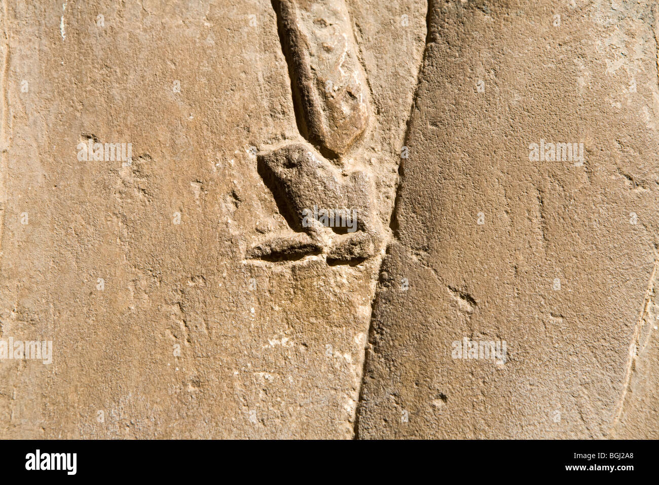 Soulagement de la grenouille à la fin d'un roseau le personnel du Temple de Sobek et Haroeris à Kom Ombo dans la vallée du Nil, de la Haute Égypte Banque D'Images