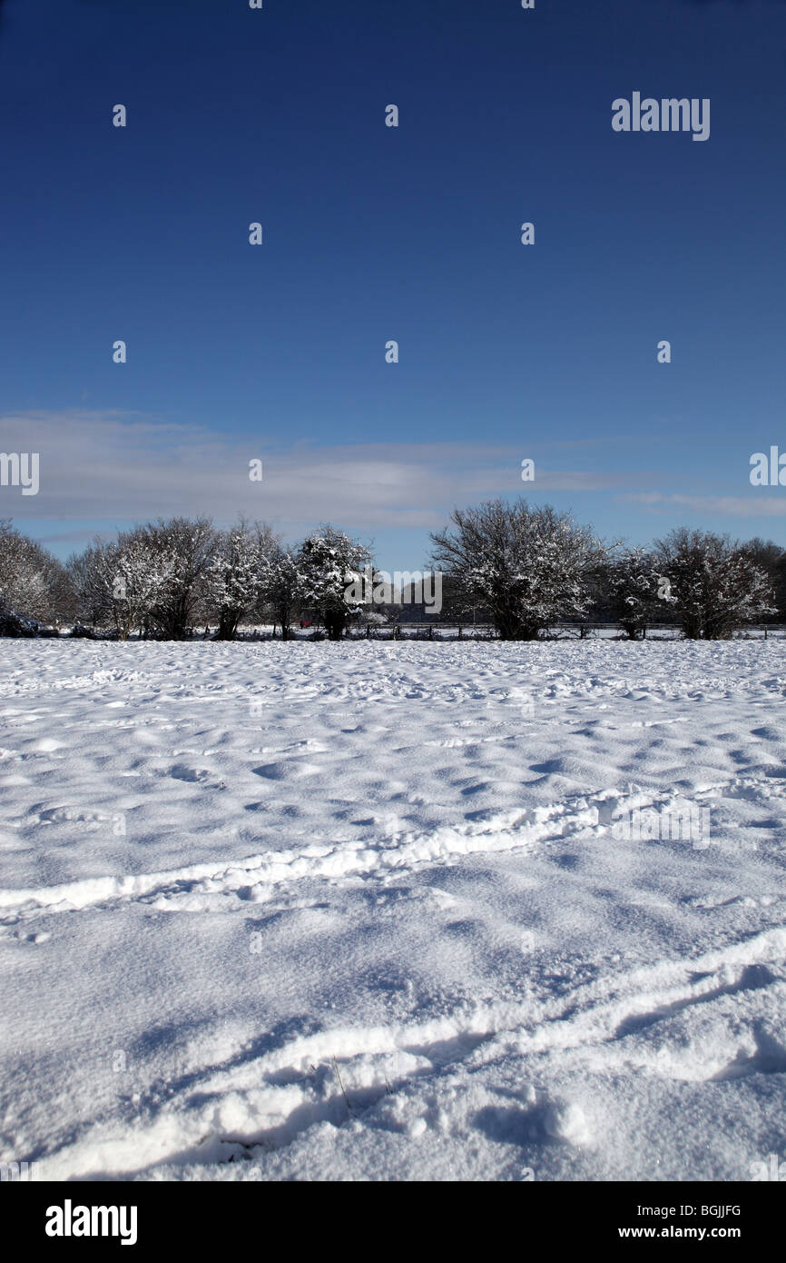 Champ neigeux Banque D'Images