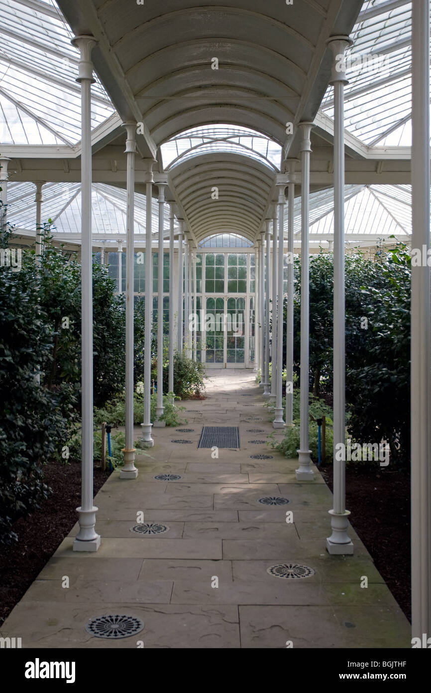 Le camellia house, salle de Wollaton, Nottingham, Angleterre Banque D'Images