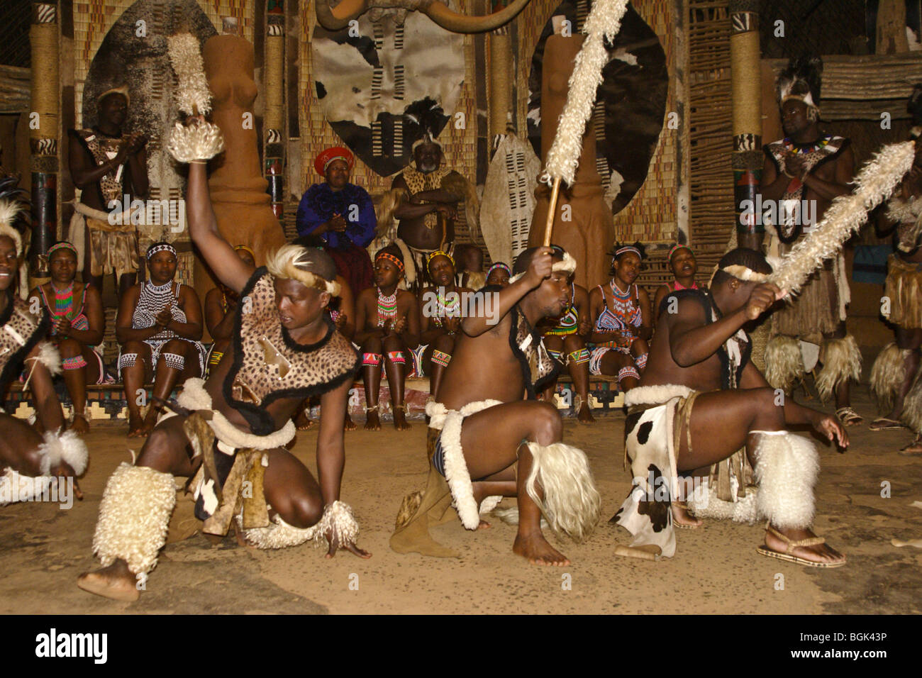 Zulu Traditional Dance At Shakaland Banque De Photographies Et D images 