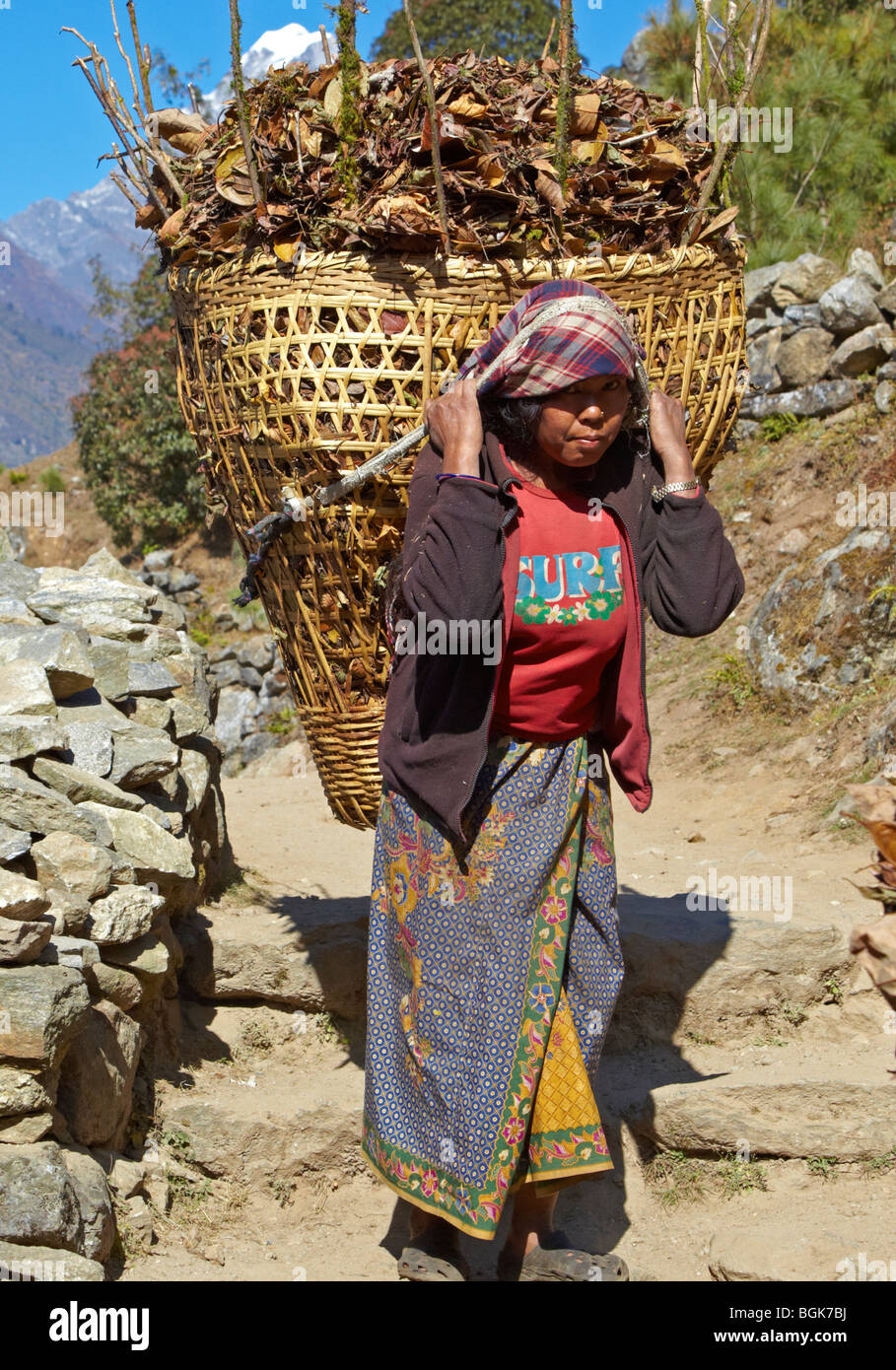 Porter Sherpa Everest Himalaya Région Asie Népal Banque D'Images