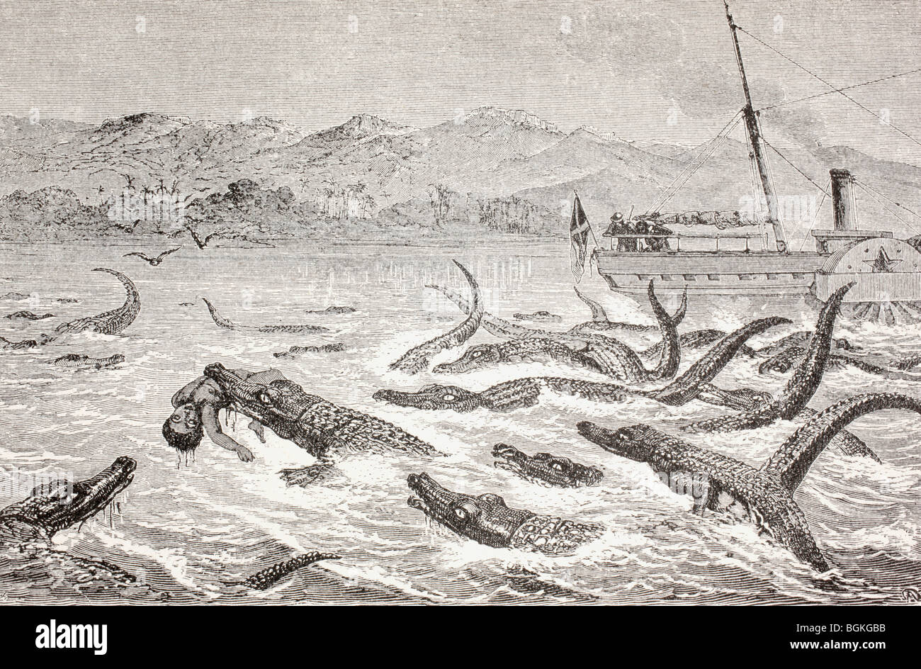 Les crocodiles prendre un homme dans le fleuve du Nil à la fin du xixe siècle. Banque D'Images