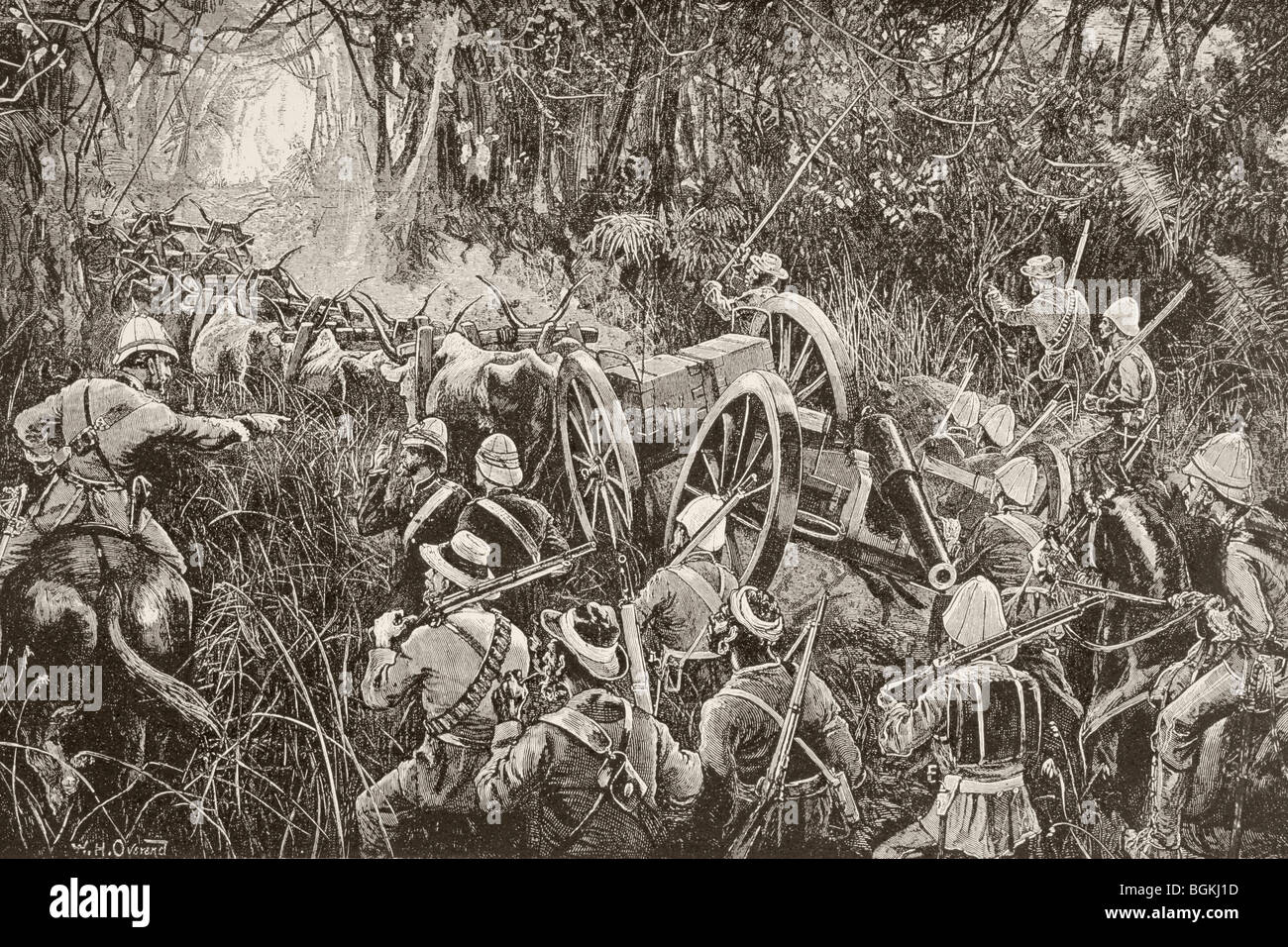 La force des troupes britanniques une ligne de pièces d'artillerie tirés par des bœufs des équipes à travers le bush durant la Première Guerre des Boers. Banque D'Images