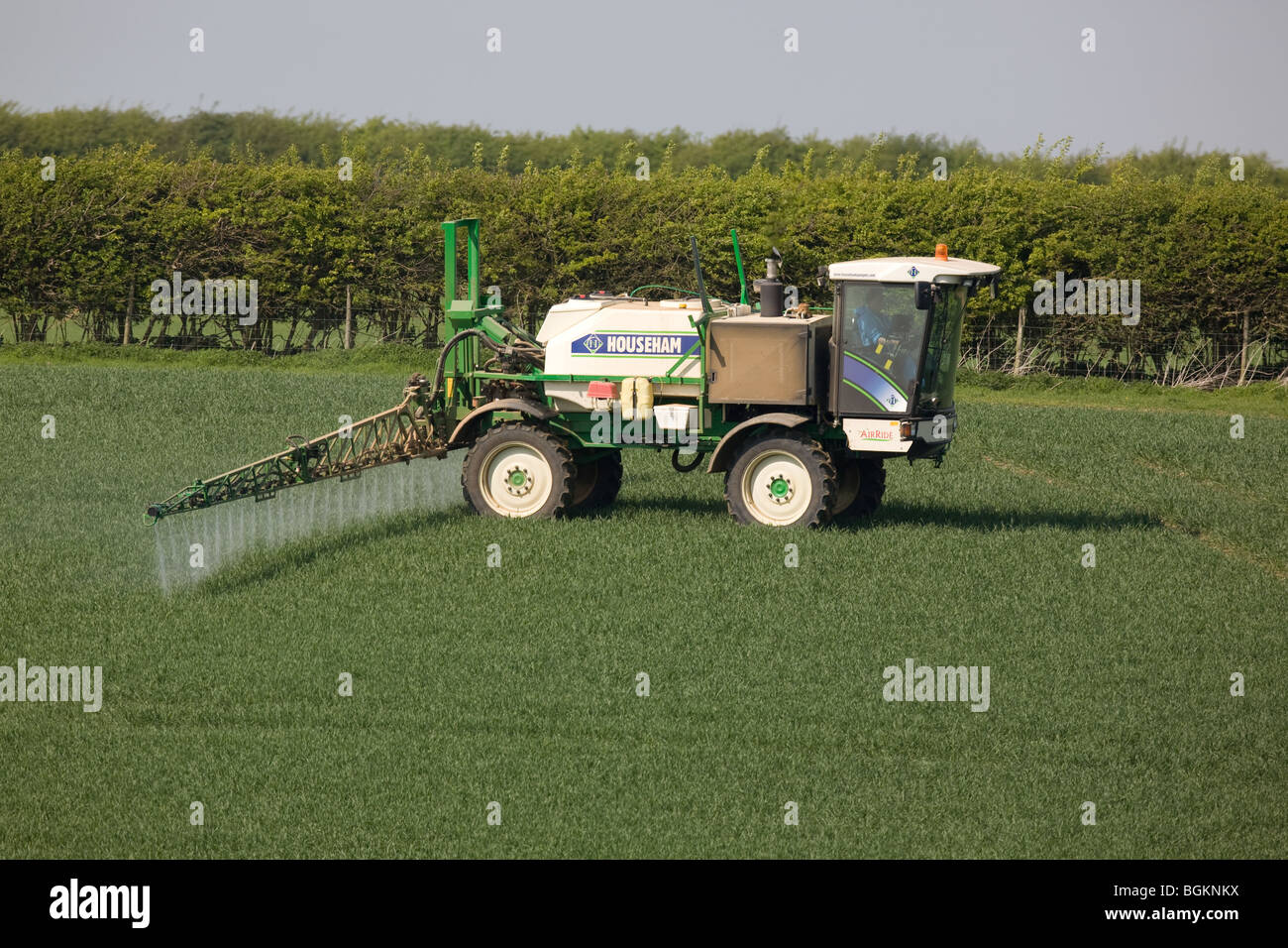 Pulvérisateur automoteur la pulvérisation de pesticides sur le blé Banque D'Images