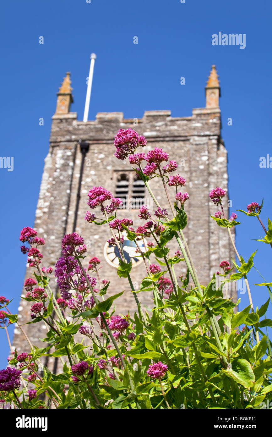 Église Saint-George avec fleurs printanières, Dittisham, South Hams, Devon, Angleterre,ROYAUME-UNI Banque D'Images