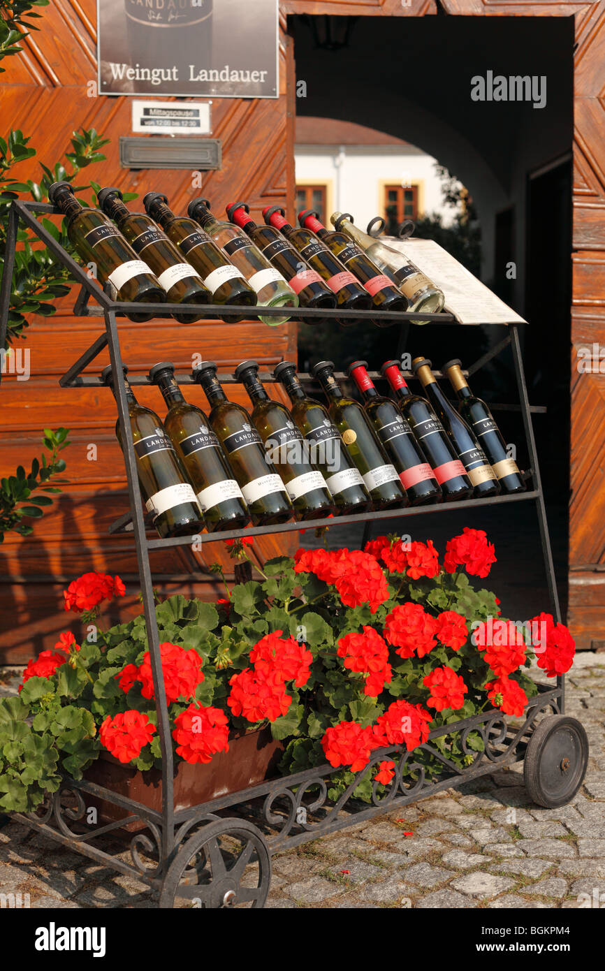 Les bouteilles de vin à l'écran, Weingut Landauer Winery, la rouille sur le lac de Neusiedl, Burgenland, Autriche, Europe Banque D'Images