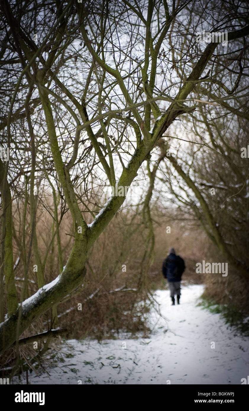 Homme solitaire marche à travers bois d'hiver sur le chemin couvert de neige Banque D'Images