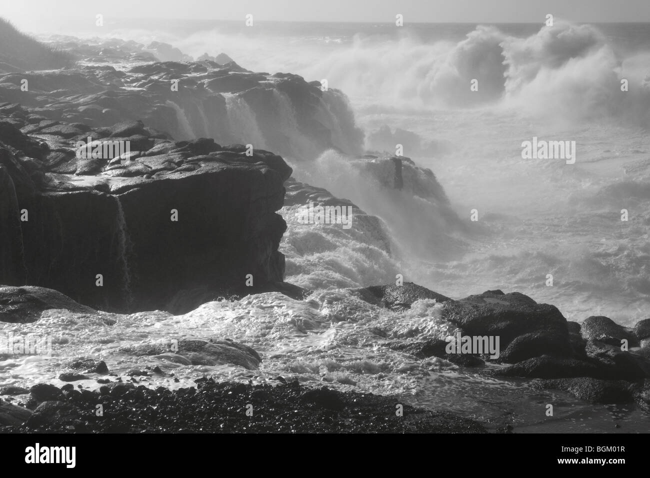 Les vagues déferlent sur les côte de l'Oregon Banque D'Images