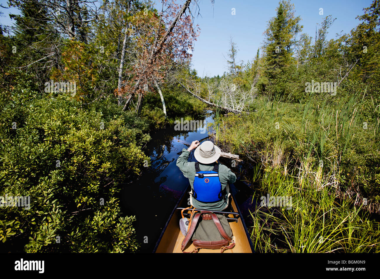 Un homme âgé de canots dans la chambre des forêts nationales, Boundary Waters Canoe Area par une belle journée de septembre. Banque D'Images