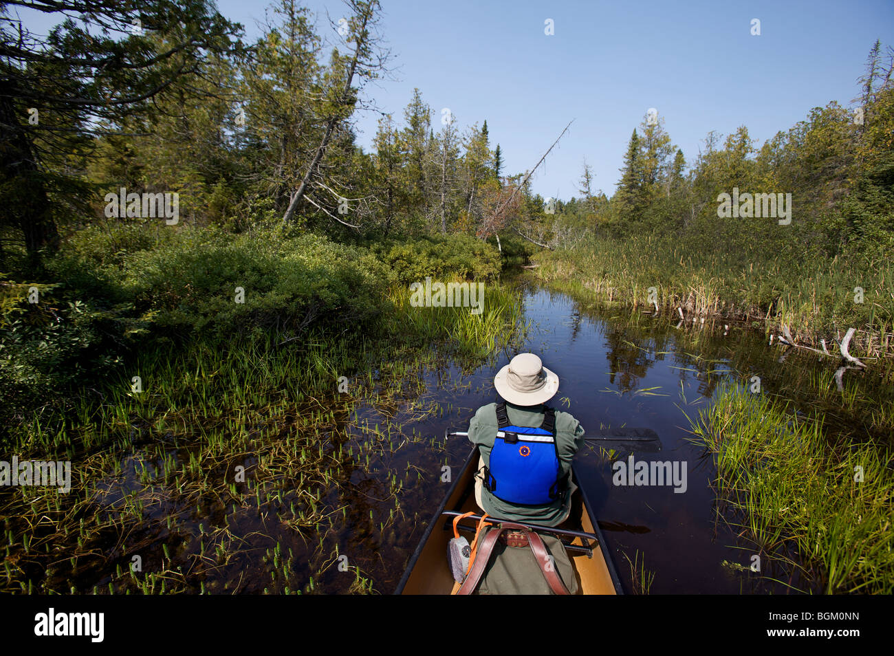 Un homme âgé de canots dans la chambre des forêts nationales, Boundary Waters Canoe Area par une belle journée de septembre. Banque D'Images