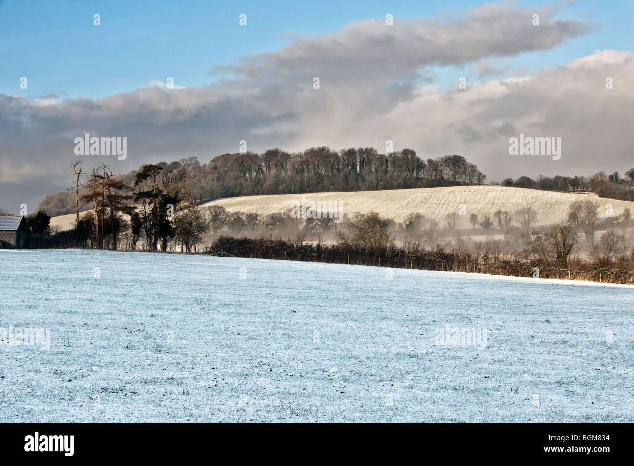 Ce paysage en hiver Banque D'Images