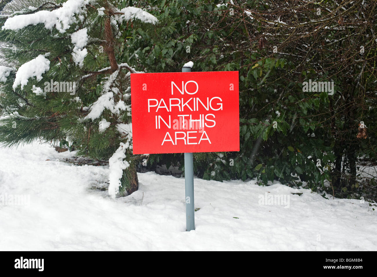No parking sign in snow Banque D'Images