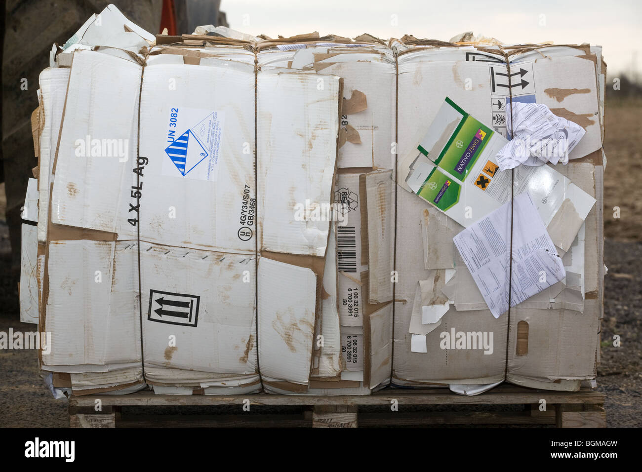 Carton comprimé prêt pour le recyclage des déchets Banque D'Images