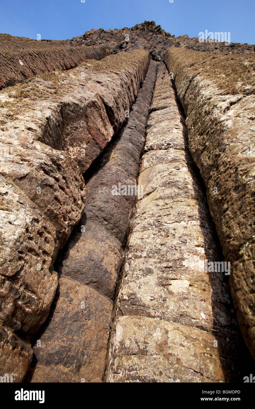 Les colonnes d'organes à la Giant's Causeway Antrim Irlande du Nord un phénomène naturel et un site du patrimoine mondial. Banque D'Images
