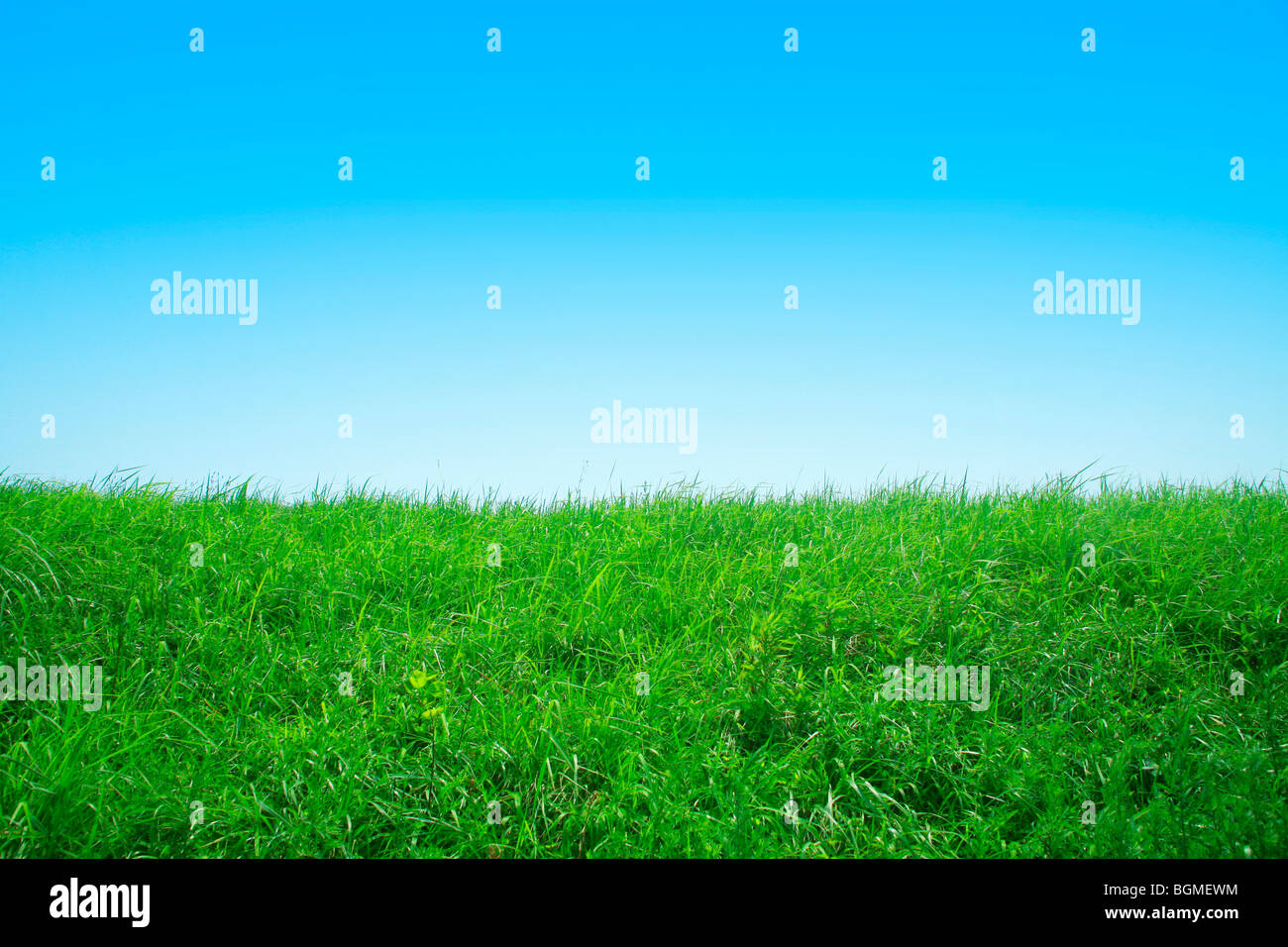 Green grass meadow Préfecture Tokushima Japon Banque D'Images