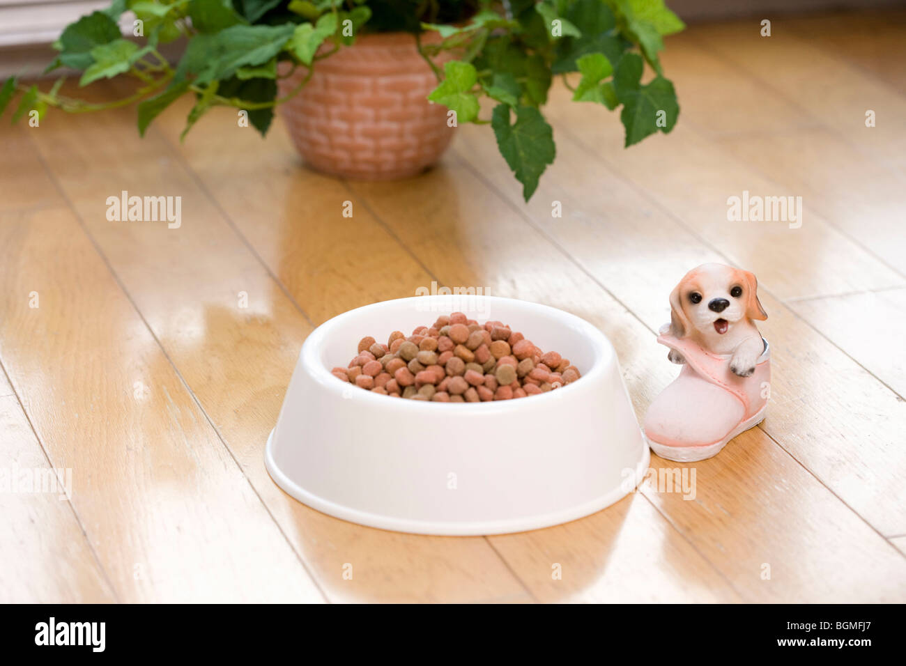 La nourriture pour chien dans un bol à côté de toy dog Banque D'Images