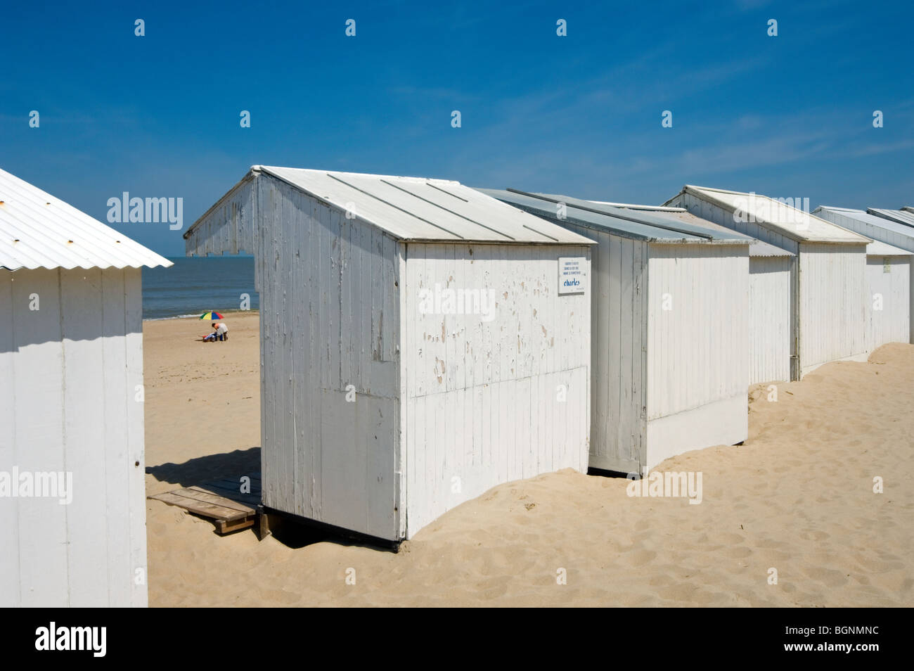 Rangée de cabines de plage de sable blanc le long de la côte de la mer du Nord à la station balnéaire / Coxyde Koksijde, Flandre occidentale, Belgique Banque D'Images