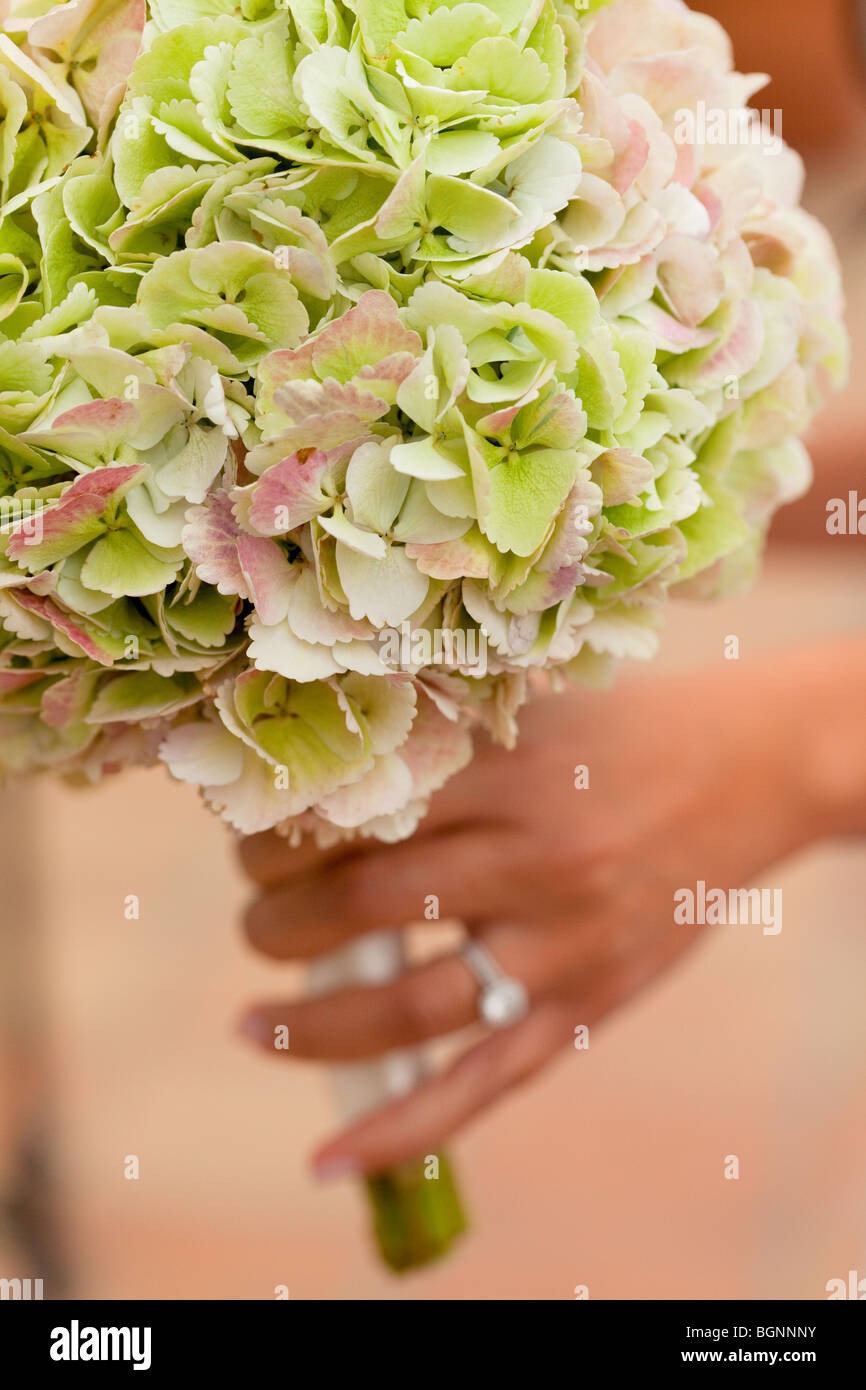 Bouquet d'hortensias, vert blanc rose pastel Banque D'Images