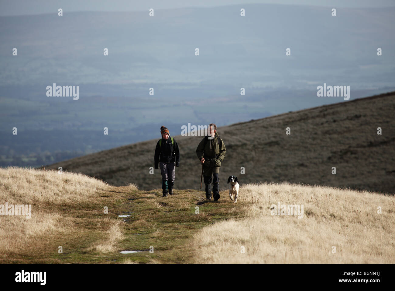 Homme avec un bâton de marche et une femme randonnées avec leur chien dans le Lake District, Cumbria. Banque D'Images