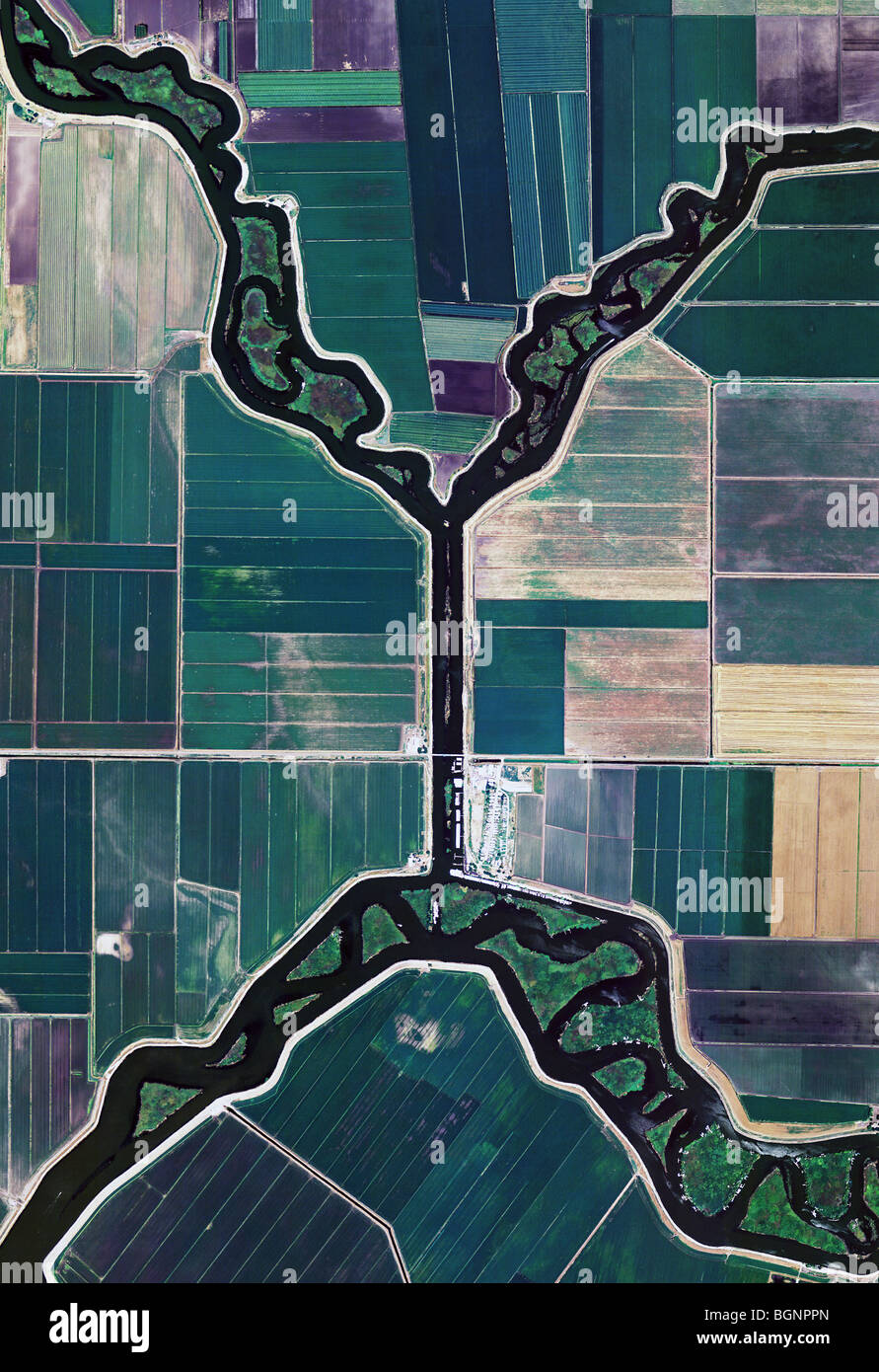 Carte aérienne vue au-dessus des digues et canaux de l'agriculture de l'île King Comté de San Joaquin en Californie Banque D'Images