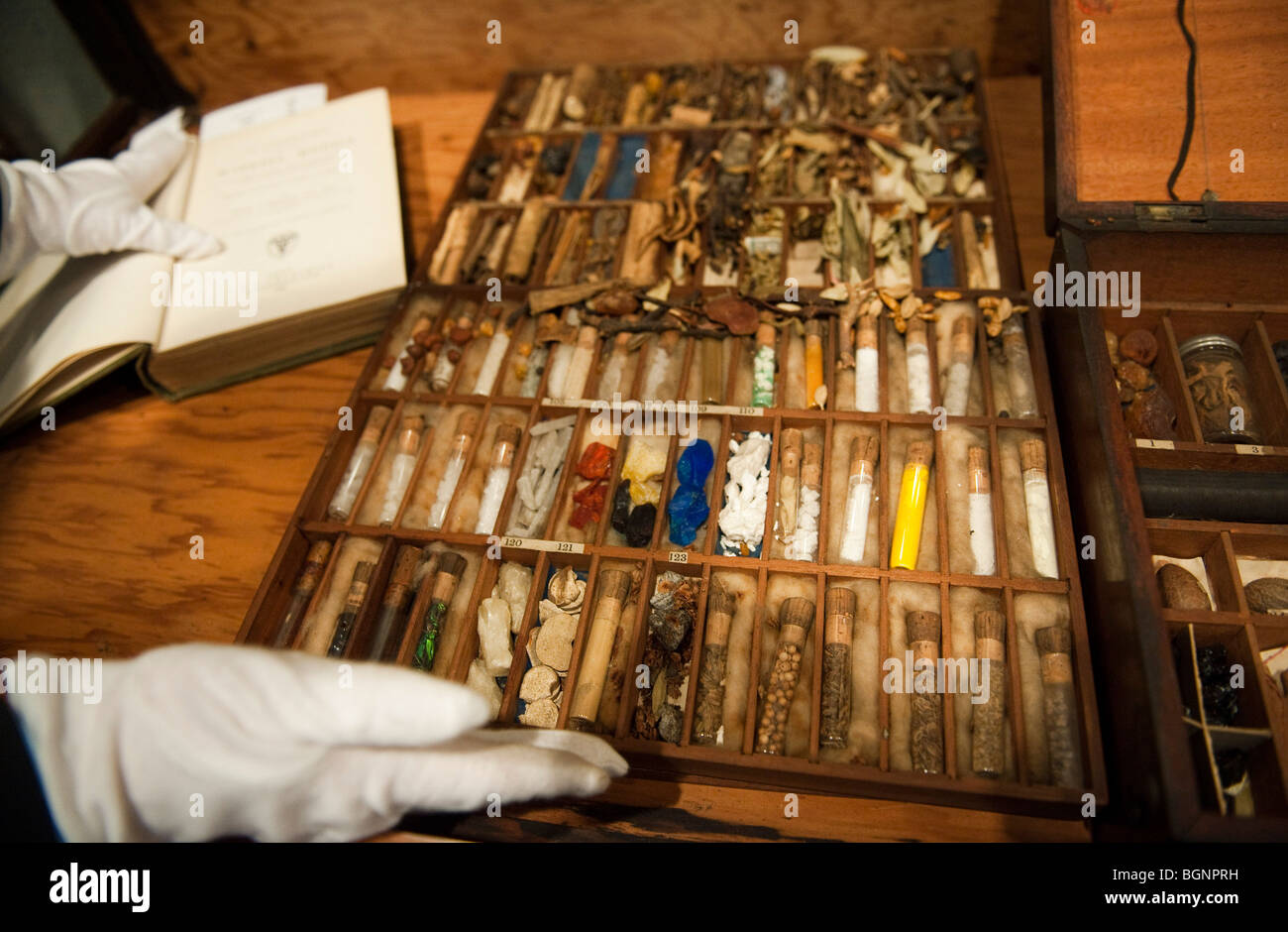 Une étude de l'acajou antique cabinet contenant des échantillons des principaux ingrédients chimiques et naturels de pharmacologie Banque D'Images