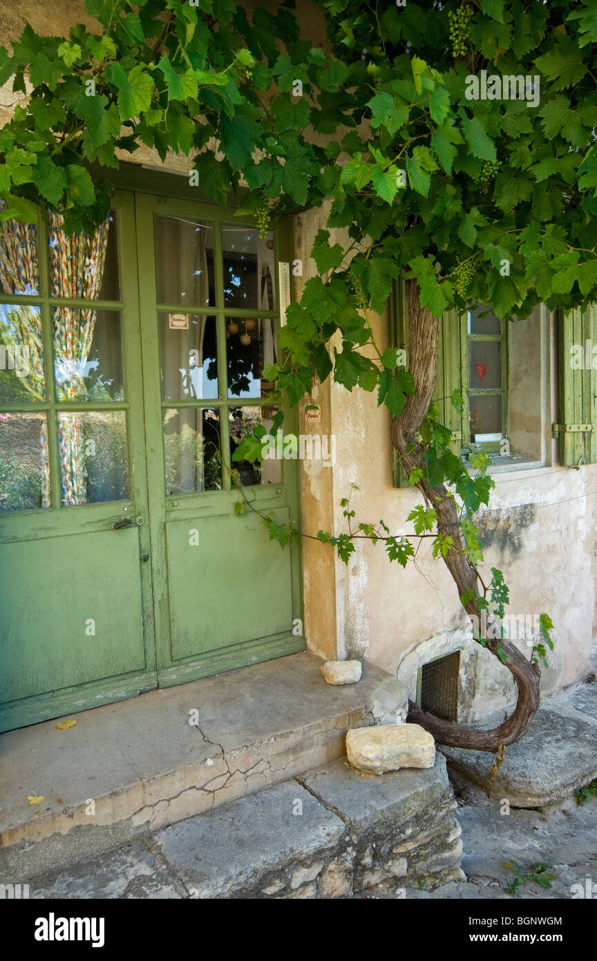 La croissance de la vigne avant de la chambre sur l'allée du village de Gordes dans le Vaucluse, Provence-Alpes-Côte d'Azur, Provence, France Banque D'Images