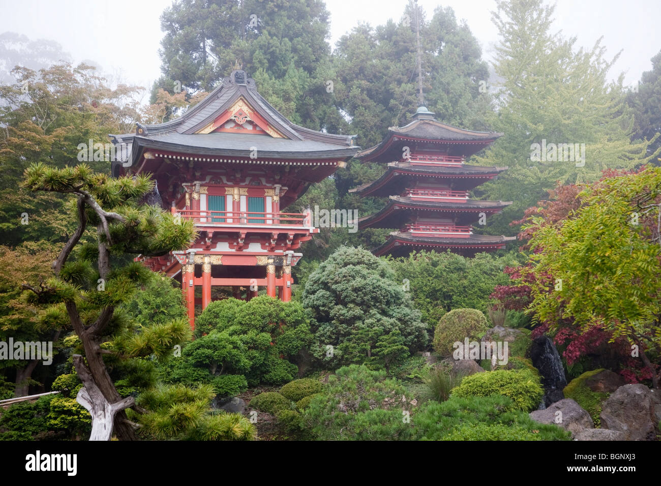 Porte du Temple et Pagoda - Japanese Tea Garden, le Golden Gate Park, San Francisco en Californie, USA Banque D'Images